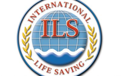 Logo ILS 3D 1